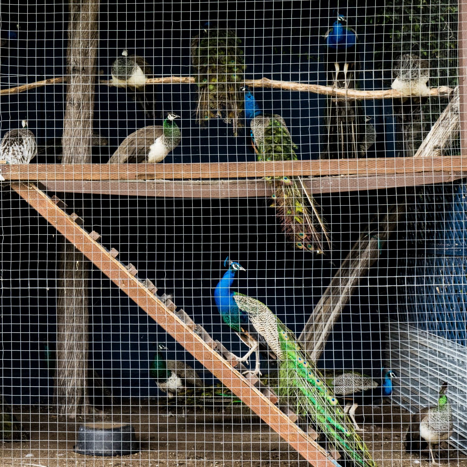 Photograph by David R. Kordus