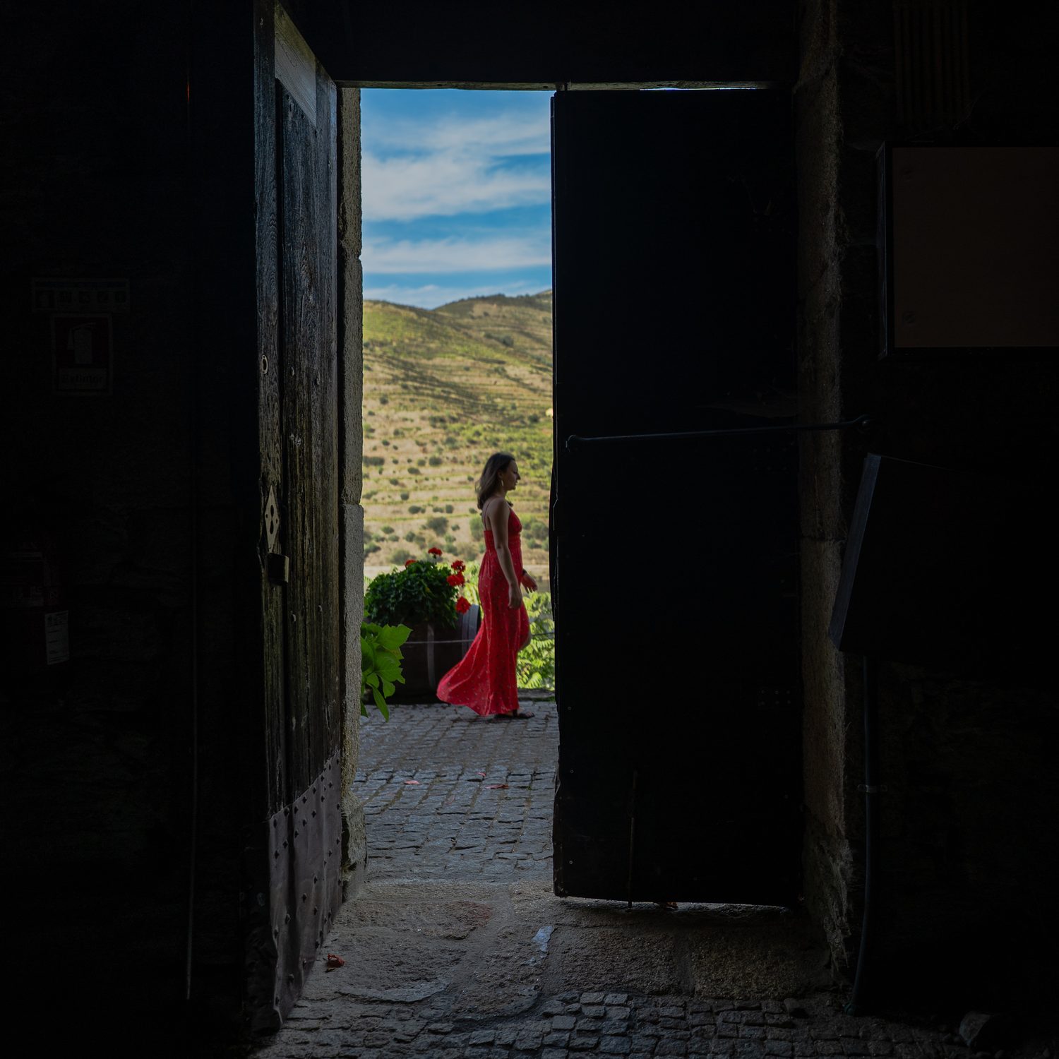 Photograph by David R. Kordus