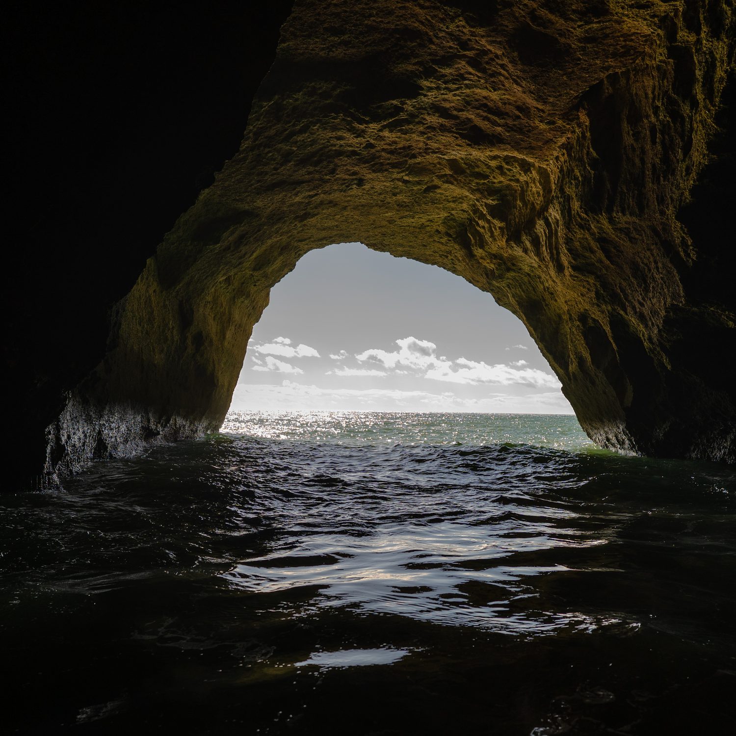 Photograph by David R. Kordus