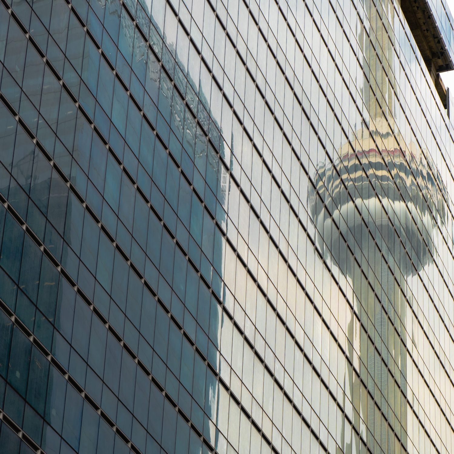 Photograph by David R. Kordus