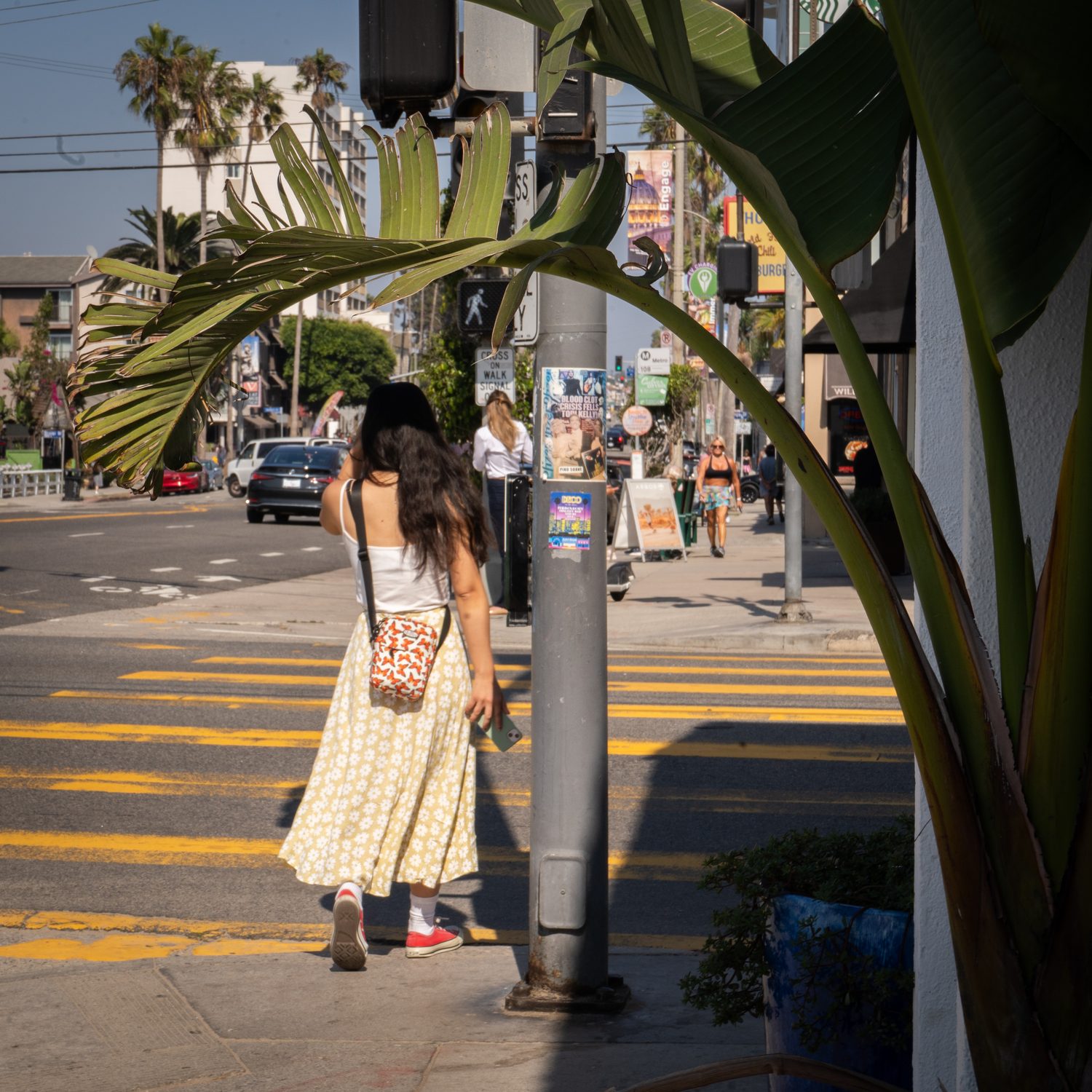 Photograph by David R. Kordus
