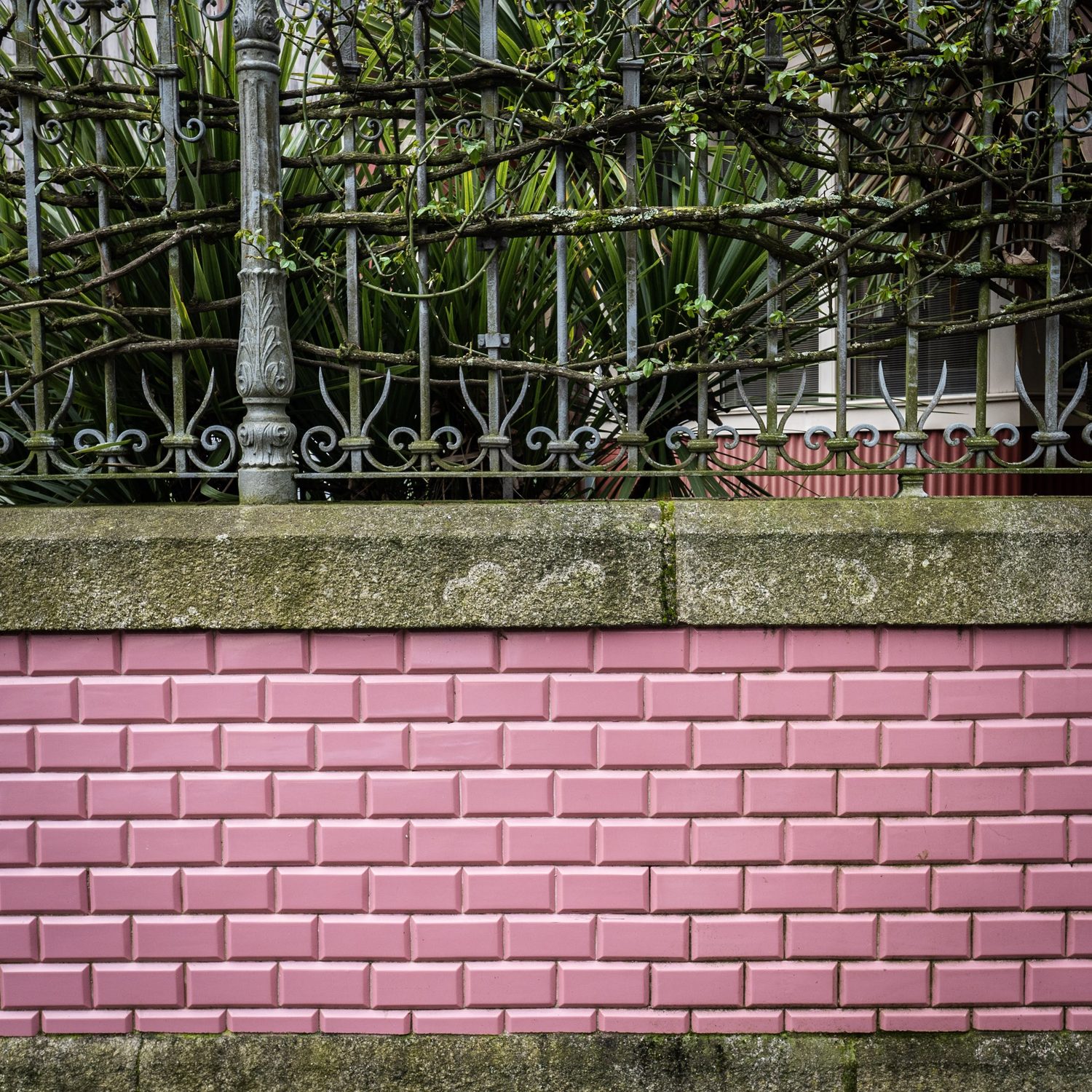 Photograph by David R. Kordus