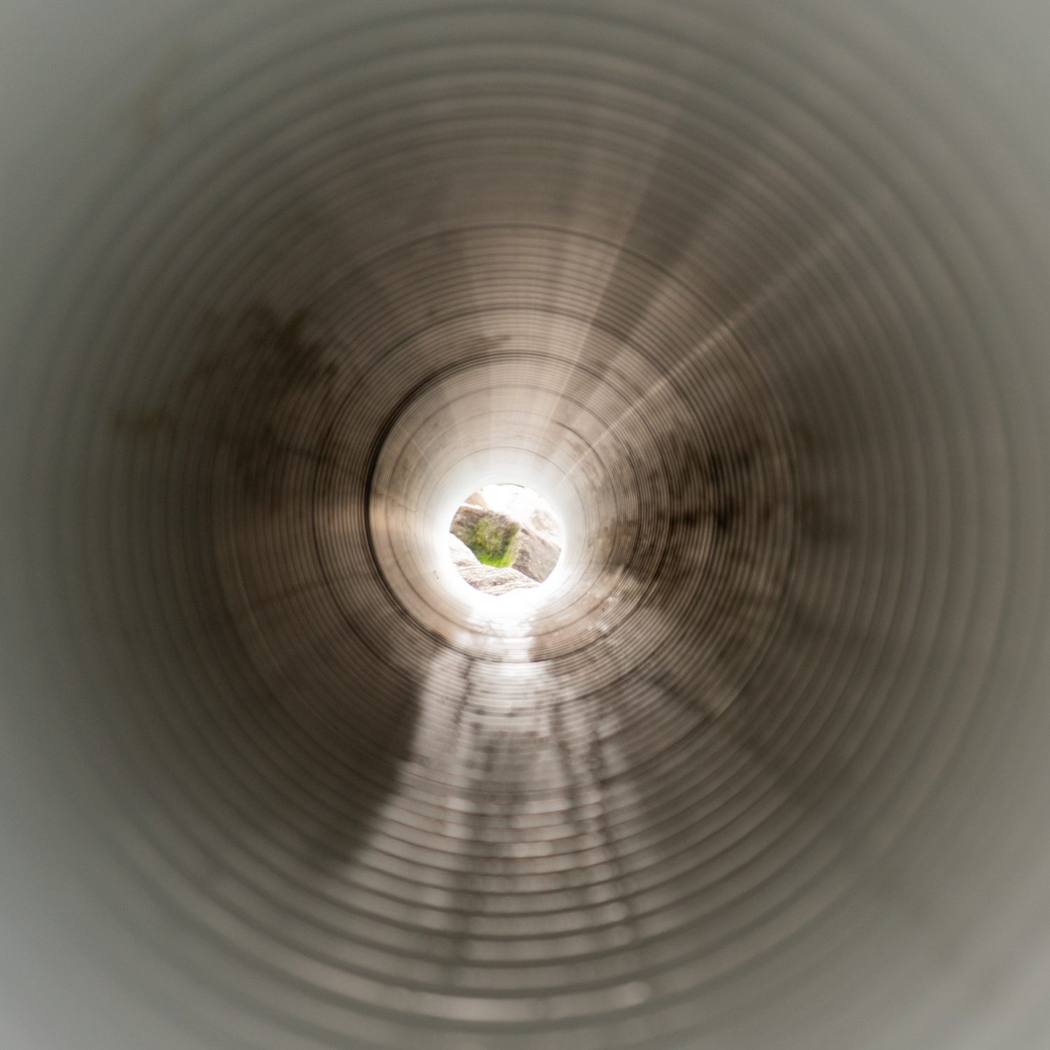 Photograph by David R. Kordus