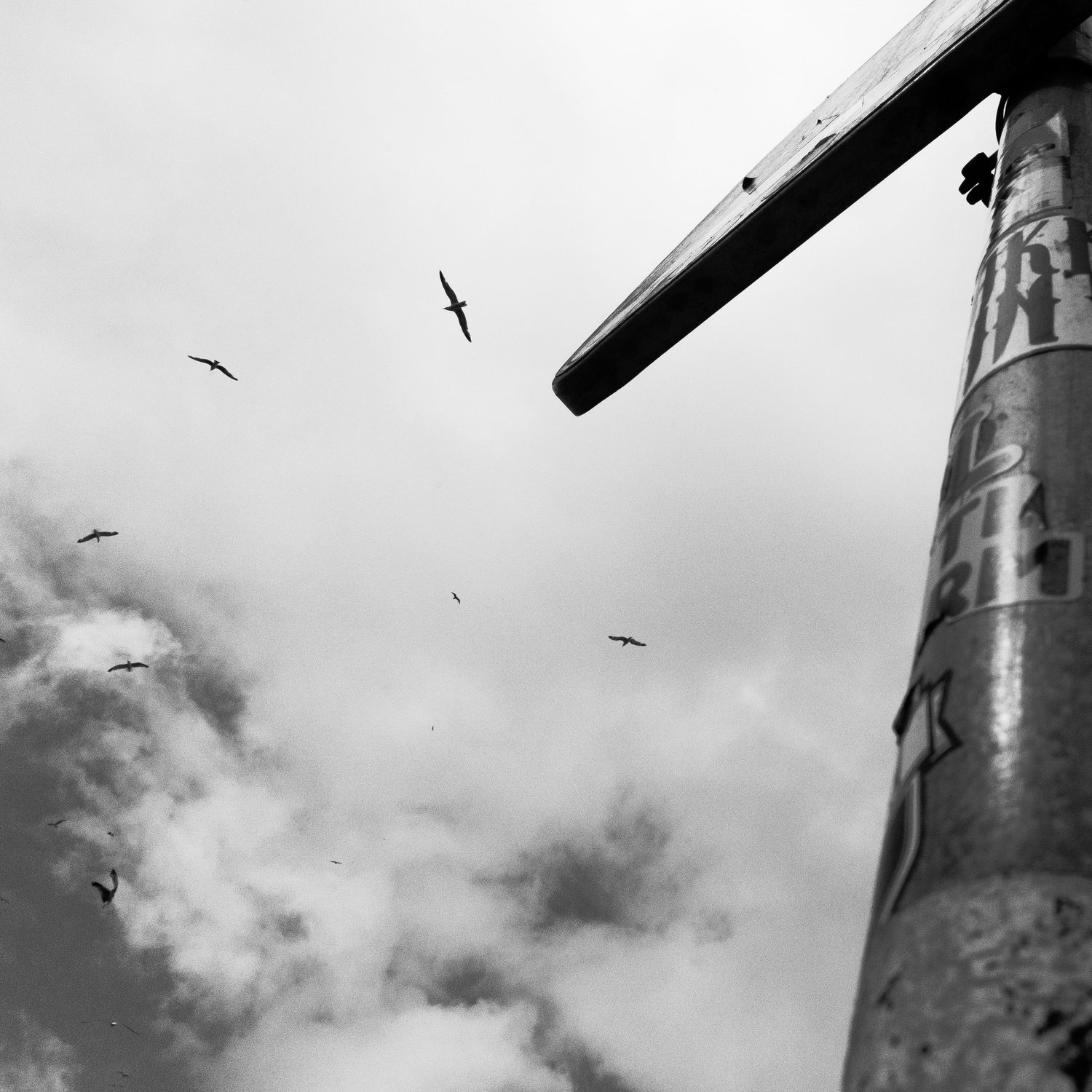 Photograph by David R. Kordus