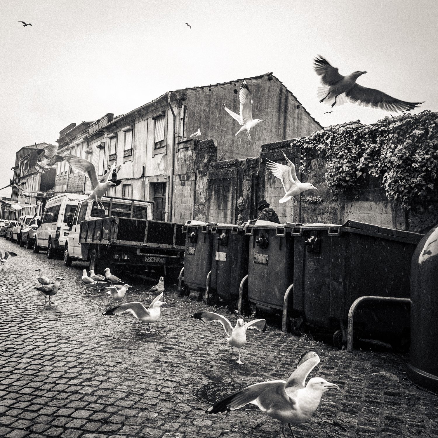Photograph by David R. Kordus