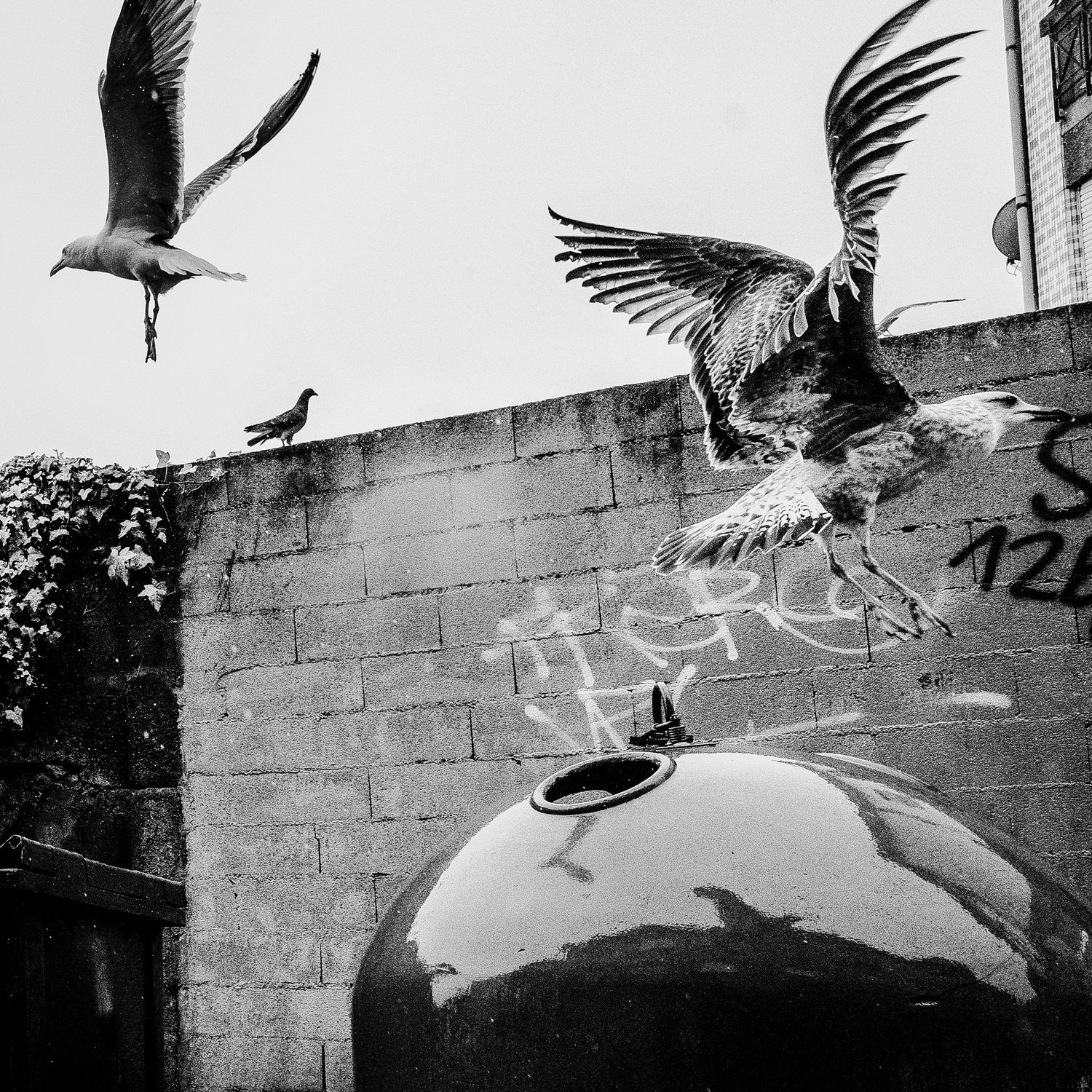 Photograph by David R. Kordus