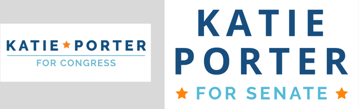 katie porter senate